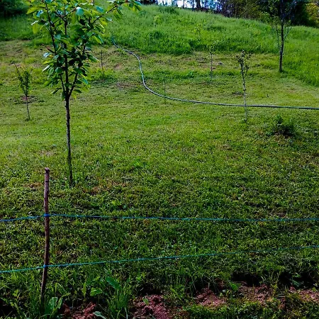 Camping Ciungani Exterior foto