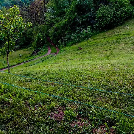 Camping Ciungani Exterior foto
