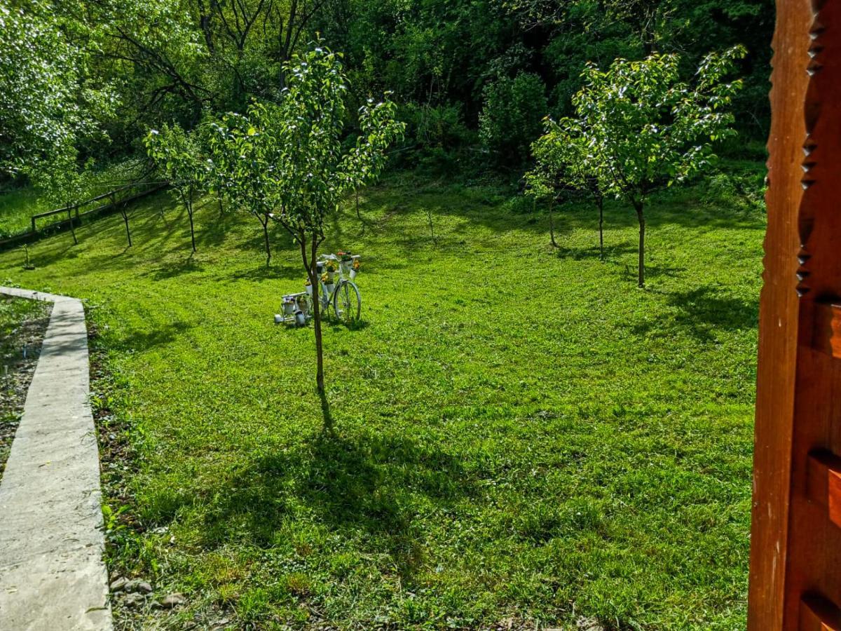 Luxuszelt Camping Ciungani